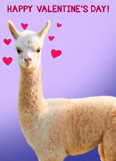 Llots of Llove VAL Cute Animals Ecard Cover