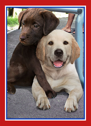 Memorial Day Hug  Ecard Cover