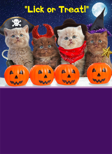 Meowloween Funny Animals Card Cover