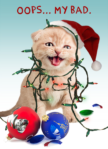 Merry Catsmess - Funny Christmas Card to personalize and send.