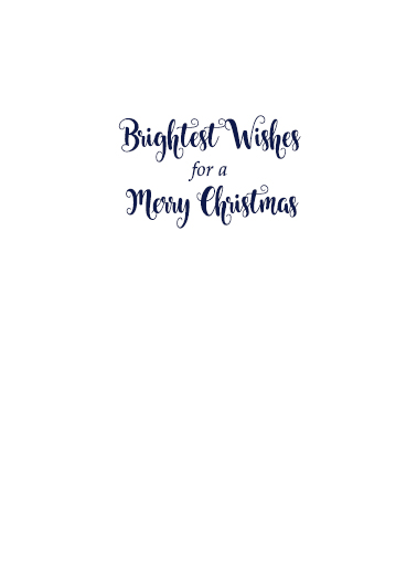 Merry and Bright Glitter Christmas Wishes Card Inside