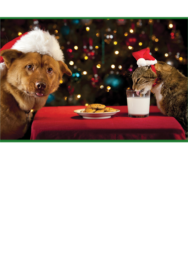 Milk It XMAS Dogs Card Cover