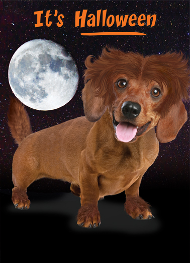 Moonlight Dachshund Dogs Ecard Cover