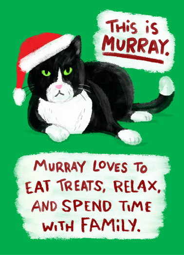 Murray Cat Xmas Christmas Card Cover