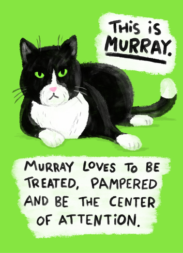 Murray Cat Birthday Card Cover