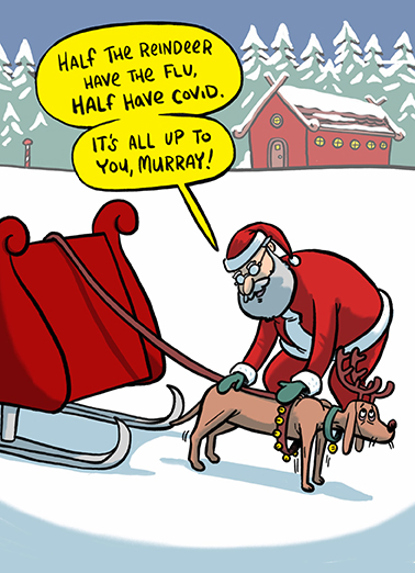 Murray Christmas - Funny Christmas Card to personalize and send.