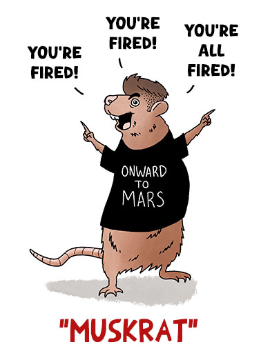 Muskrat Funny Political Ecard Cover