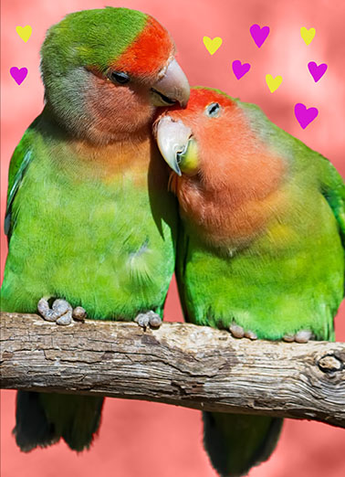 My Tweetheart Valentine's Day Card Cover