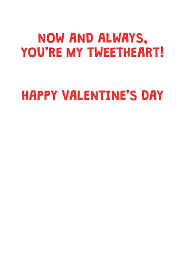 My Tweetheart Valentine's Day Card Inside
