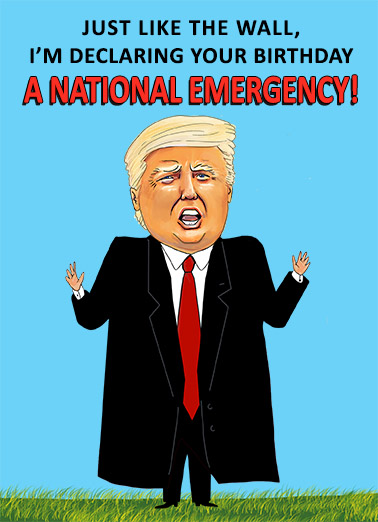 National Emergency Funny Card Cover