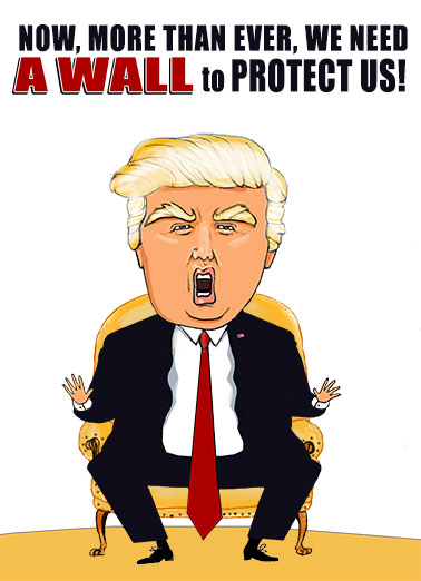Need A Wall President Donald Trump Card Cover