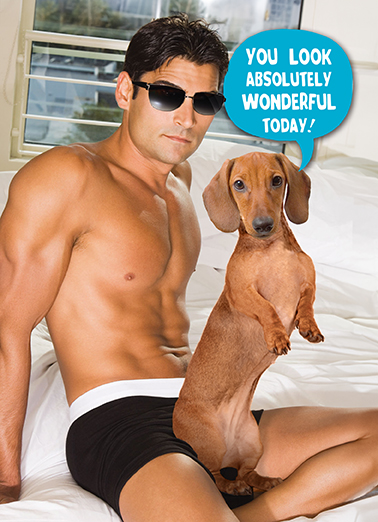 Nice Wiener Dirty Sexy Naughty Ecard Cover