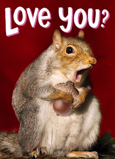 Nuts About You Valentine's Day Card Cover
