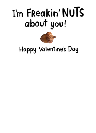 Nuts About You Valentine's Day Ecard Inside