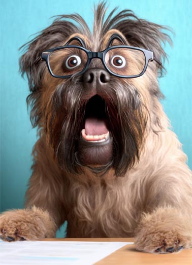 OMG Dog Glasses Birthday Card Cover
