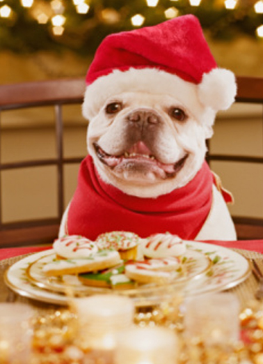 Oh Christmas Treats Food Ecard Cover