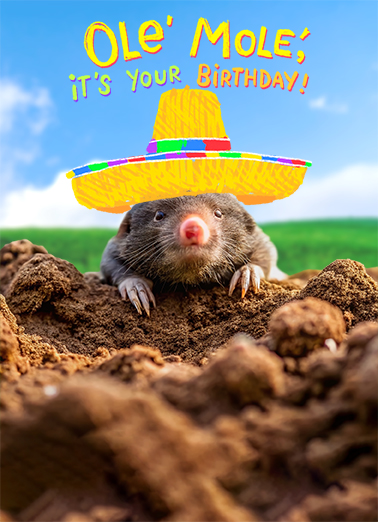 Ole Mole Birthday Ecard Cover