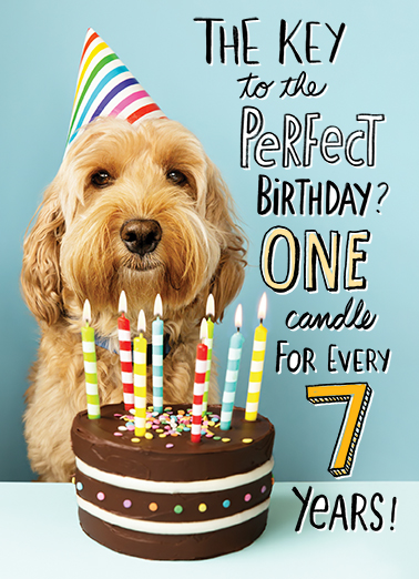 One Candle Dogs Ecard Cover