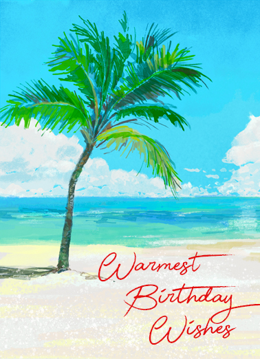 Palm Tree Birthday January Birthday Card Cover