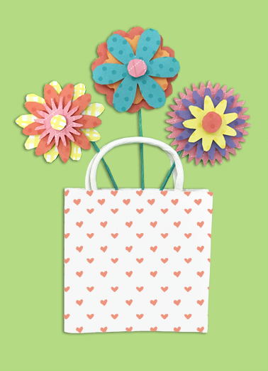 Paper Flowers In Bag Illustration Card Cover