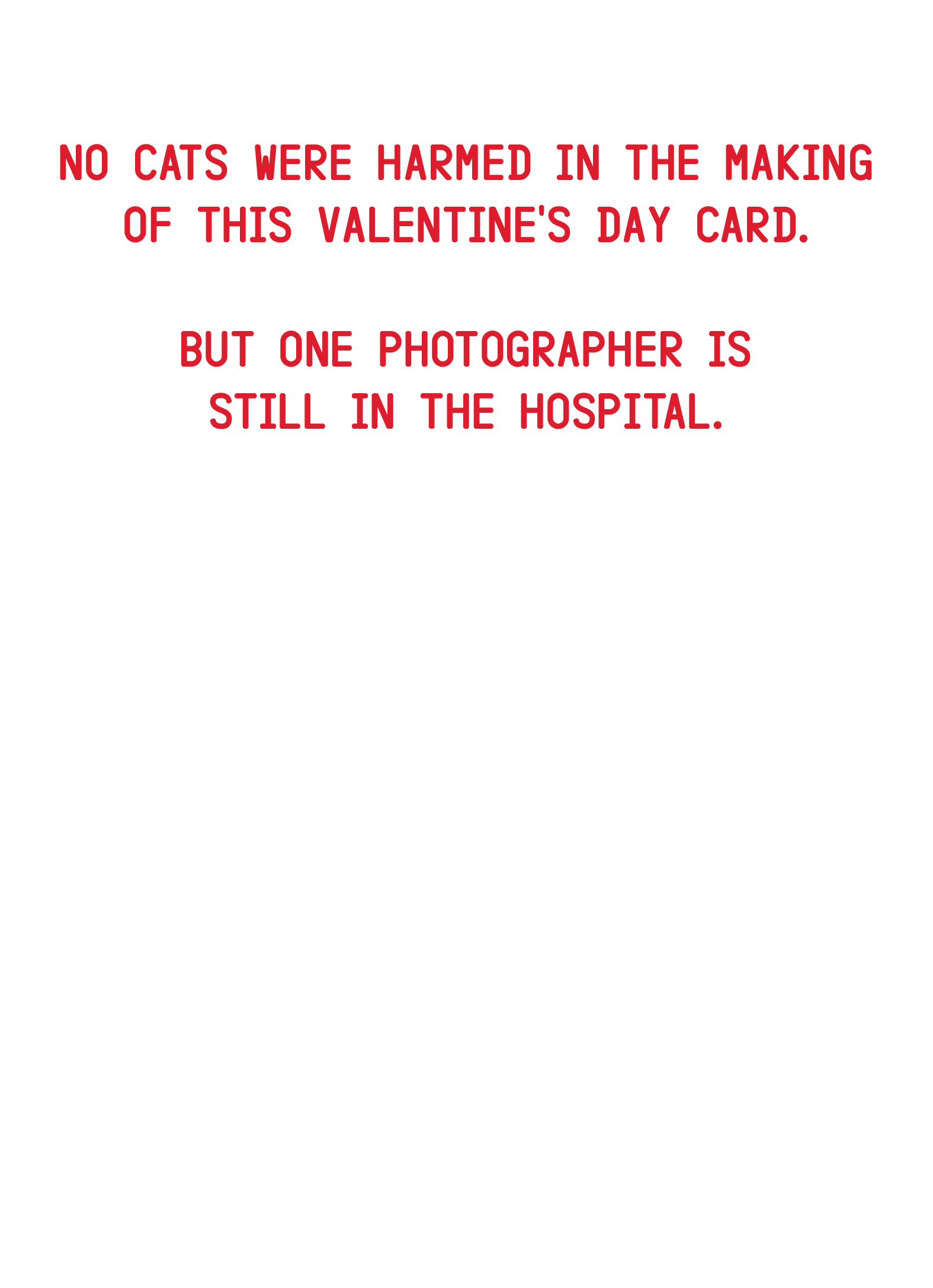Photographers Were Harmed VAL Valentine's Day Card Inside