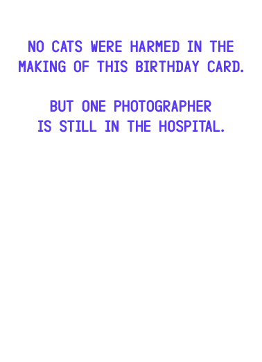 Photographers Were Harmed Birthday Card Inside