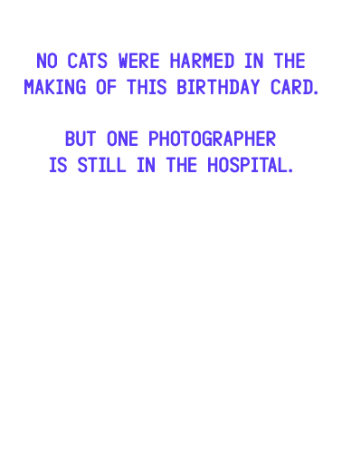 Photographers Were Harmed Birthday Ecard Inside