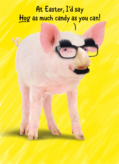 Pig In Glasses Easter Ecard Cover