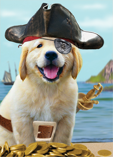 Pirate Puppy  Ecard Cover