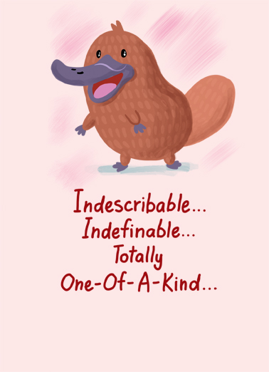 Platypus VAL Valentine's Day Ecard Cover