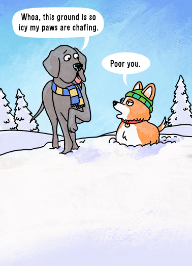 Poor You XMAS Funny Animals Card Cover