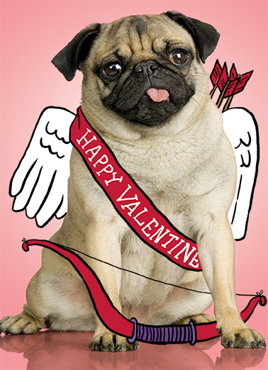 Pug Val Valentine's Day Ecard Cover