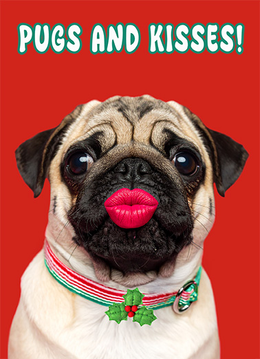 Pugs And Kisses Christmas  Ecard Cover