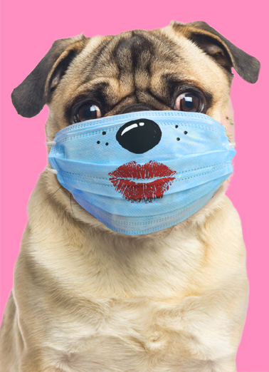 Pugs and Kisses VAL 5x7 greeting Ecard Cover