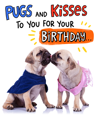 Pugs and Kisses Birthday Card Cover