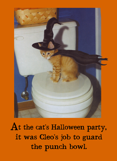 Punch Bowl Cat Halloween Card Cover