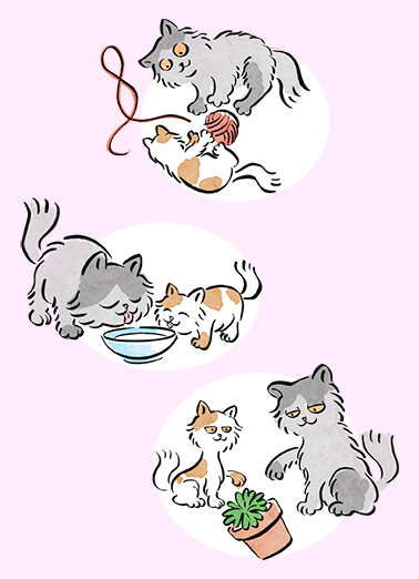 Purrfectly Wonderful Mother's Day Card Cover