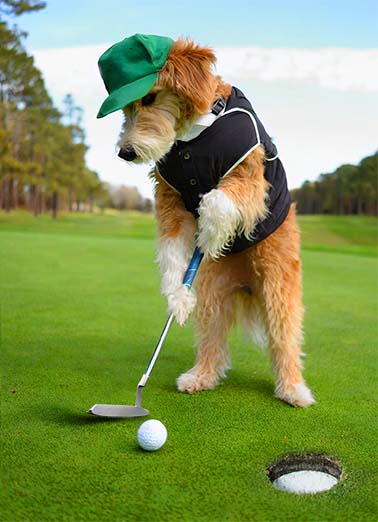 Putting Dog Dogs Ecard Cover
