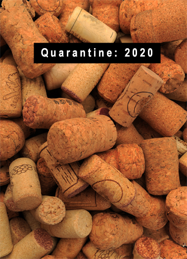 Quarantine 2020 Drinking Card Cover