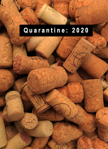 Quarantine 2020 Thinking of You Ecard Cover