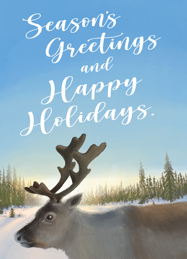 Reindeer Biz Christmas Card Cover