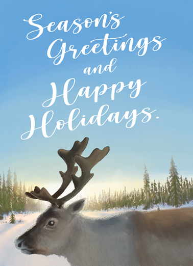 Reindeer Biz Christmas Ecard Cover