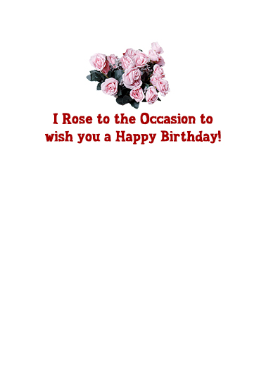 Rose to Occasion BDAY Cute Animals Card Inside