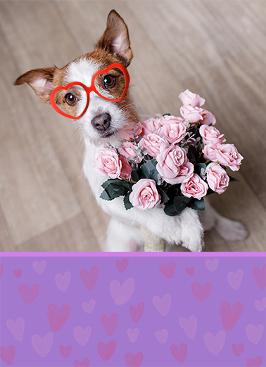 Rose to Occasion Dogs Ecard Cover