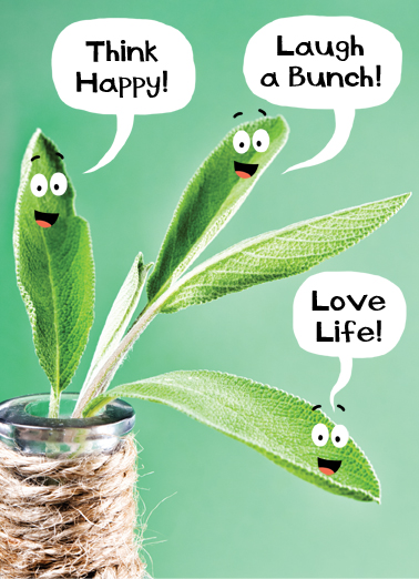 Sage Birthday Ecard Cover