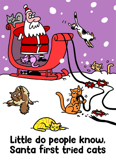 Santa Cats - Funny Christmas Card to personalize and send.