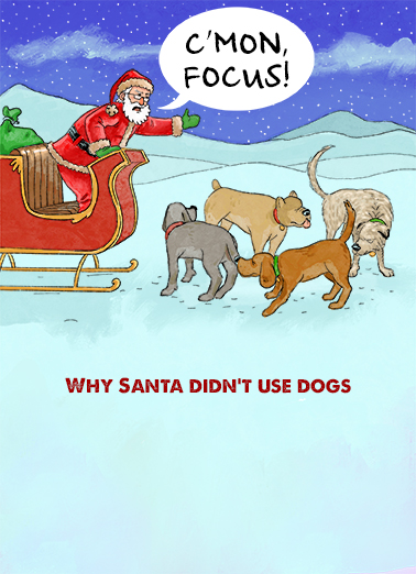 Santa Dogs - Funny Christmas Card to personalize and send.