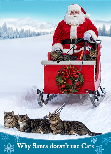 Santa Use Cats Christmas Ecard Cover