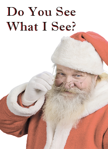 Santa What I See Christmas Ecard Cover