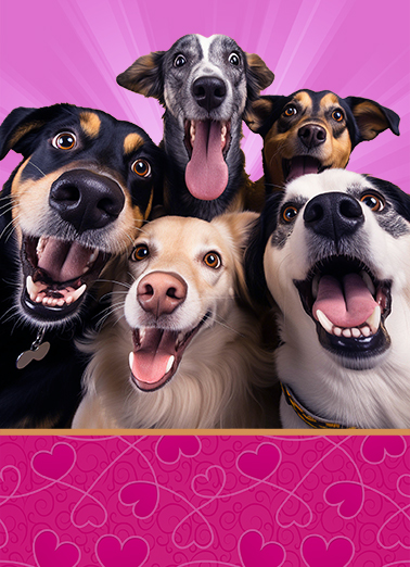 Say Candy Valentine's Day Card Cover